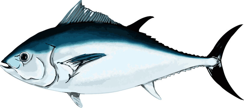 548 件の最適な リアル魚イラスト 画像 ストック写真 ベクター Adobe Stock