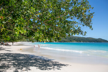 One of the Wonderful Beaches with palm trees on Sychelles Islands