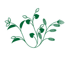 floral Herbs and Wild Flowers. Botany. Set. Vintage flowers. Black and white illustration in carving style.