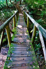 木の橋と階段の風景１