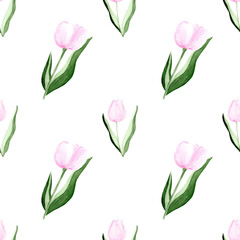 Seamless pattern in watercolor style with tulips illustrations. 