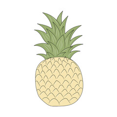 Pineapple vector illustration, isolated colored hand drawn linear style 