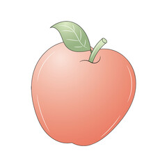 Apple vector illustration, isolated colored hand drawn linear style 
