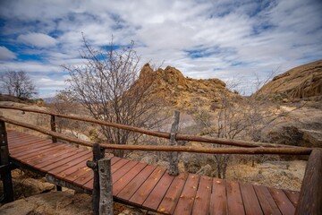 walkway in the park