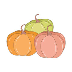 Pumpkin vector illustration, isolated colored hand drawn linear style 