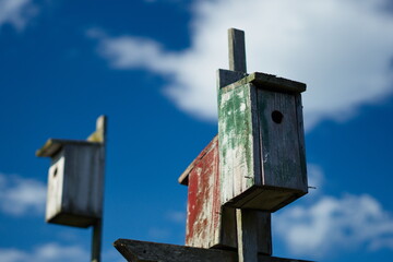 Red green painted birdhouses against blue sky with white clouds