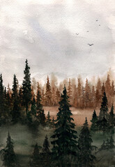 Watercolor drawing. Autumn spruce forest.