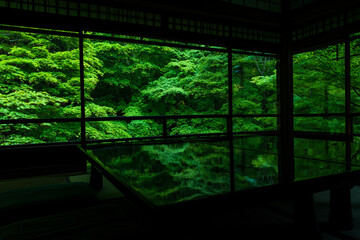京都・瑠璃光院