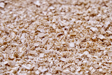 Fototapeta na wymiar Large pile of beige birch shavings after solid wood processing for furniture production as background extreme close upper view
