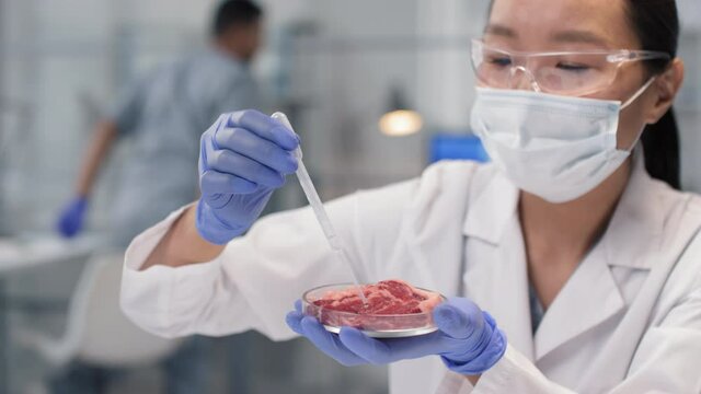 Slowmo close-up of female Asian scientist dispensing liquid on in vitro meat sample with dropper in bright modern laboratory
