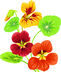 vector vintage floral design elements on gradient background