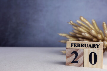 Day 20 of february month, Wooden calendar with date. Empty space for text.