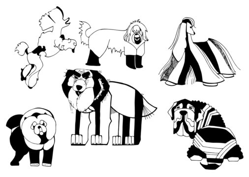 Set of illustrations of dogs