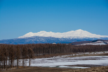 雪が残る春の畑作地帯と雪山　大雪山
