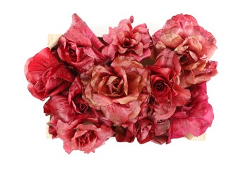 Top view of a crate full of Rosa di Gorizia, Gorizia roses in english, a prized italian pinkish red radicchio. They are a type of leaf chicory, cultivated on the borders among Italy and Slovenia. Wh - obrazy, fototapety, plakaty