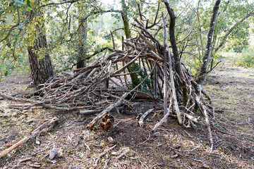 wooden branch hut in the woods forest