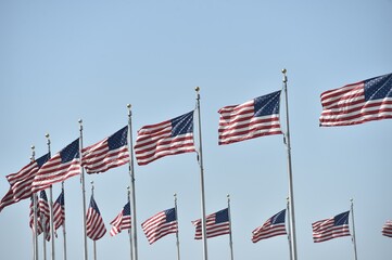 Fototapeta premium The American flag fluttering in a semicircle on a blue background.