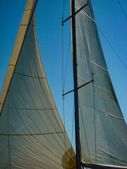 Obraz premium sail boat yacht in race regatta with mountain background