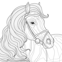 Horse with mane.Coloring book antistress for children and adults. Illustration isolated on white background.Zen-tangle style. Black and white drawing
