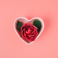 Beautiful fresh red rose inside the ceramic bowl in the heart shape. Valentines day, romance concept