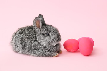 Naklejka premium Cute fluffy rabbit with Easter eggs on color background