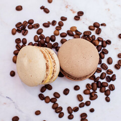 sweet chocolate macaroons with coffee beans. Sweet dessert for tea. Sweets as a gift, a place for text, a place for copying, a banner