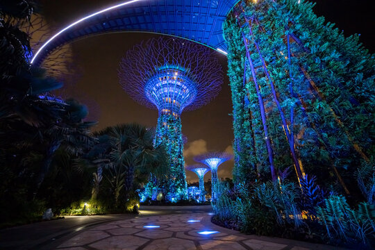 singapore - 3 March, 2020: Singapore future park gardens by the bay, supertree and marina bay sands building  in the night lights.