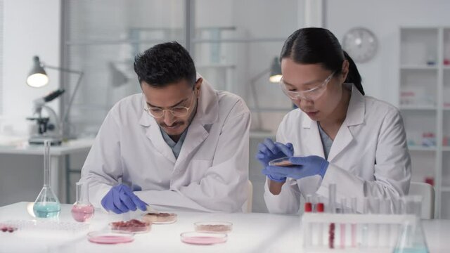 Medium slow-motion shot of multi-ethnic microbiologists doing scientific research on in vitro meat sample, analyzing and inspecting it together