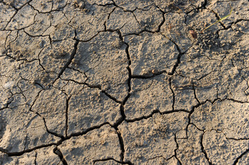 Arid land with cracks. Drought caught on a summer day in a field where production failed.