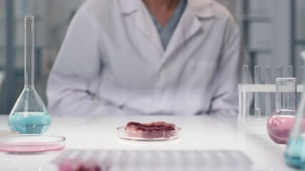 Midsection footage of unrecognizable scientist sitting at lab table with petri dish of cultured meat and beakers with chemical liquids
