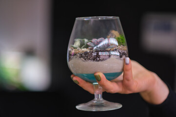 female holds glass florarium vase with succulent plants Small garden with miniature plants. Home indoor plants. DIY florarium. Colorful plants growing in glass geometric