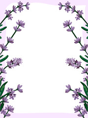 Obraz na płótnie Canvas frame with lavender. vector. ers