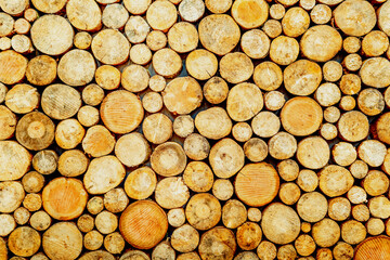 wood, log, firewood, wood, texture, wood, cut, stack, pile, logs, nature, woodpile