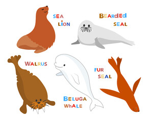 Marine mammals. Cartoon cute characters avatars vector collection. © Yaroslava
