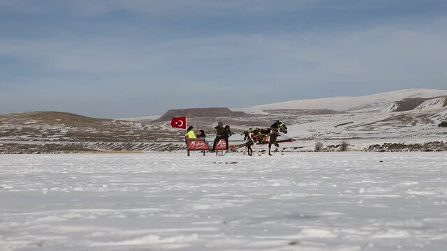 horse slades on icy cildir lake, kars,turkey.