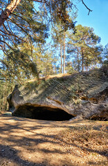 Sandstone rocks in the forest in Blankenburg. Harz National Park. Saxony-Anhalt, Germany.