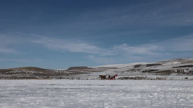 horse slades on icy cildir lake, kars,turkey.