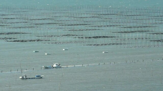 有明海のの海苔網