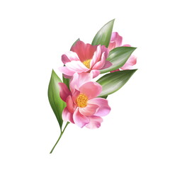 Floral branch. Illustration of pink flowers and leaves