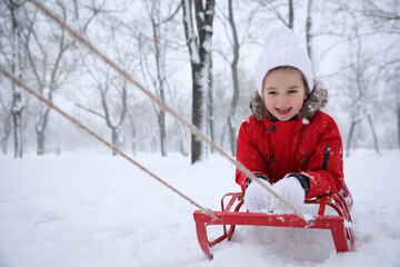Cute little girl enjoying sleigh ride outdoors on winter day