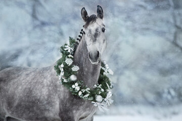 White horse with christmas wreath in snow day