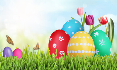 Bright Easter eggs and spring flowers on green grass outdoors