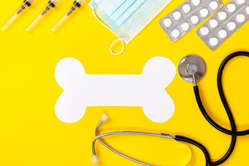 Stethoscope, symbolic bone, injection syringe and dog paw print on a yellow background. World...