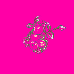 Fototapeta na wymiar vector image of lemoms on a branch on a pink background. Set of illustrations. Composition for frame, interior decor, booklet, brochure, blog, hand drawn style print