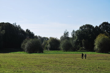 Paysage 14
