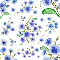 blue flowers pattern