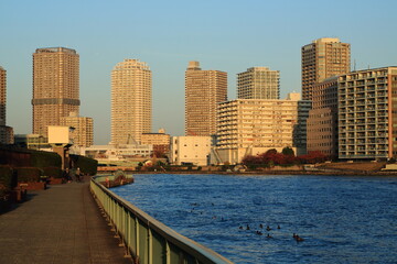 Fototapeta na wymiar 隅田川と夕日に照らされた高層マンション群