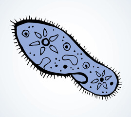 Paramecium caudatum. Vector drawing icon