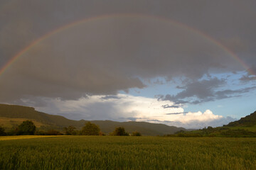 Long rainbow in front of gray rain cloud, green wheat field in the foreground. Swabian Alb Germany.