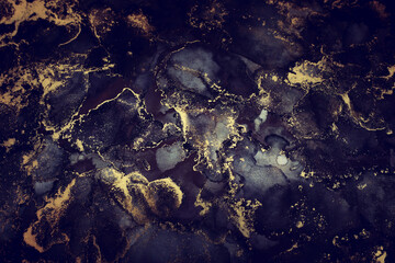 art photography of abstract fluid art painting with alcohol ink, black and gold colors